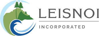 Leisnoi, Inc.